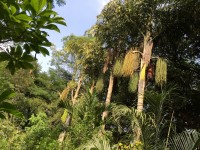 Walking through Hotel Grounds